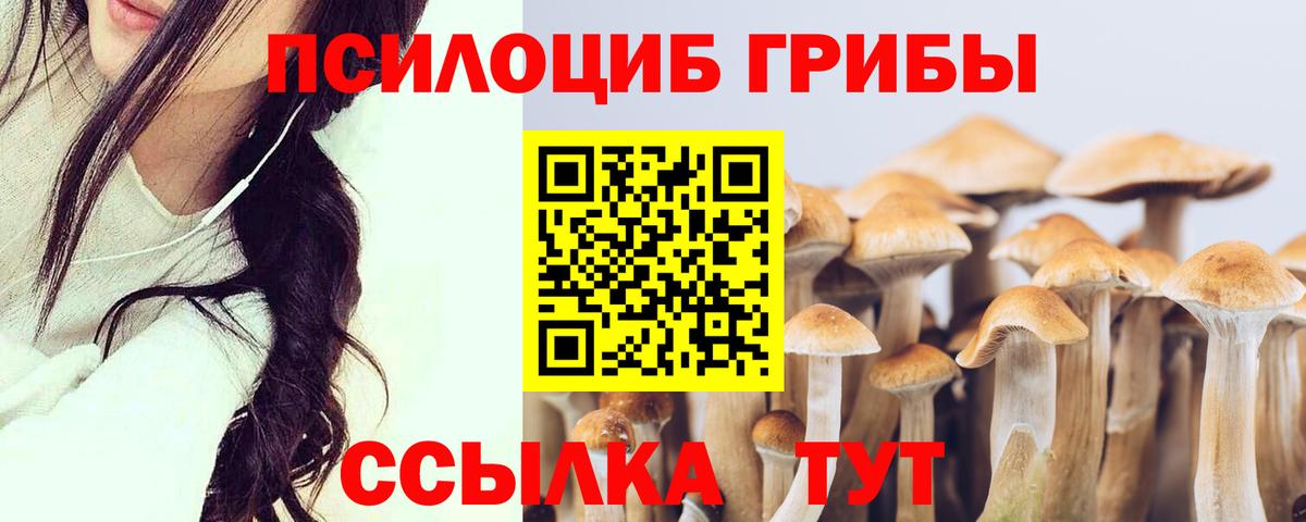 Псилоцибиновые грибы мицелий Глазов