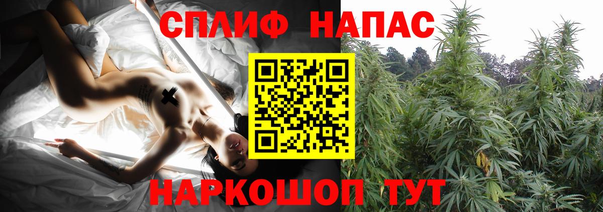 Гашиш Глазов